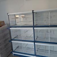 Gabbie cova italgabbie