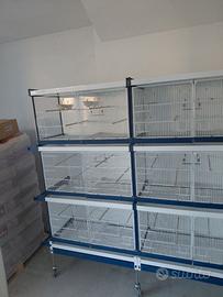 Gabbie cova italgabbie