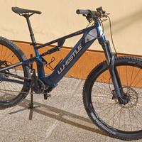 Ebike MTB