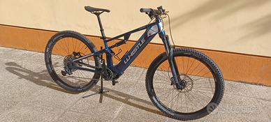 Ebike MTB