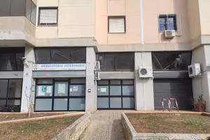 Locale/ambulatorio
