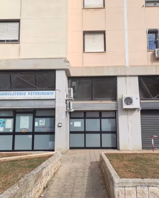 Locale/ambulatorio
