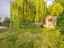 Immagine 26