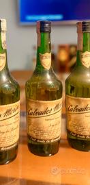 Bottiglia Calvados Morin Selection 43% ABV