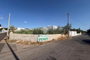 TER. RESIDENZIALE A TAVIANO