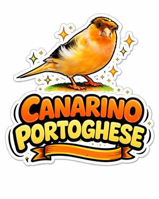 Canarino portoghese