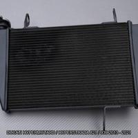 Radiatore DUCATI HYPERMOTARD HYPERSTRADA 821 939