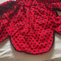Vestito carnevale coccinella