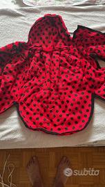Vestito carnevale coccinella