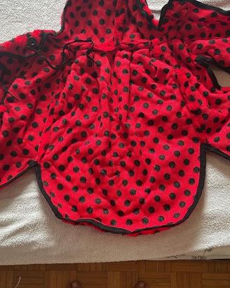 Vestito carnevale coccinella