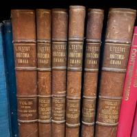 Testut trattati di anatomia umana