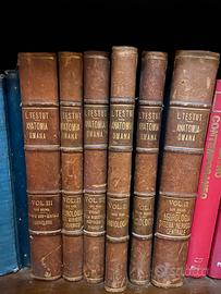 Testut trattati di anatomia umana