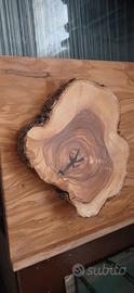 Fetta di tronco in legno di Ulivo