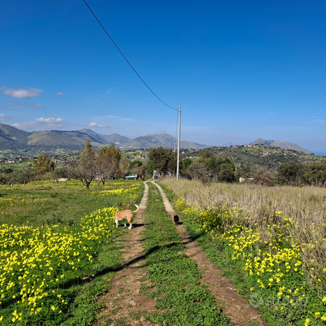 Terreno agricolo con casetta in legno