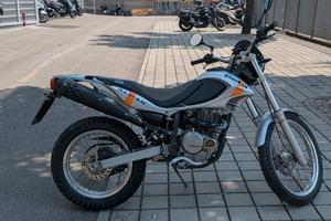 beta Alp 4.0