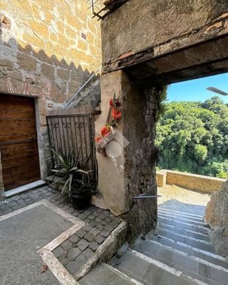 2 LOCALI A ISCHIA DI CASTRO