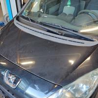 Cofano PEUGEOT 1007 del 2006