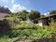 Immagine 25