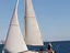 Immagine 6