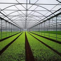 Serre agricole e tunnel