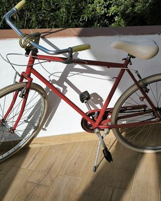 Bici da passeggio