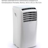 Climatizzatore Condizionatore Pinguino