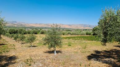 Terreno agricolo