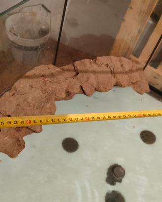 acquari come da foto piu vari ed accessori