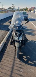 SportCity 200 anno 2009