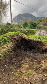 Letame equino maturo