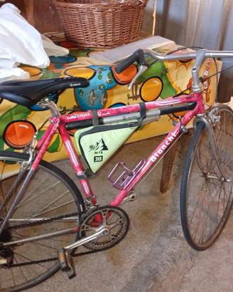 bicicletta bianchi 