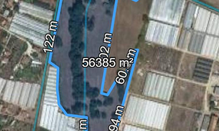 Terreno agricolo - Fondi