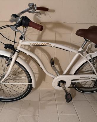 Bicicletta da uomo