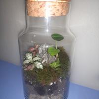 TERRARIUM fatto a mano