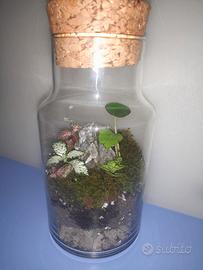 TERRARIUM fatto a mano
