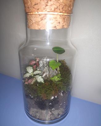TERRARIUM fatto a mano