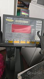 ciclette professionale da palestra technogym