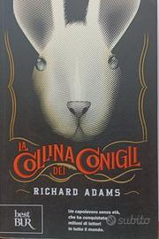 La collina dei conigli.