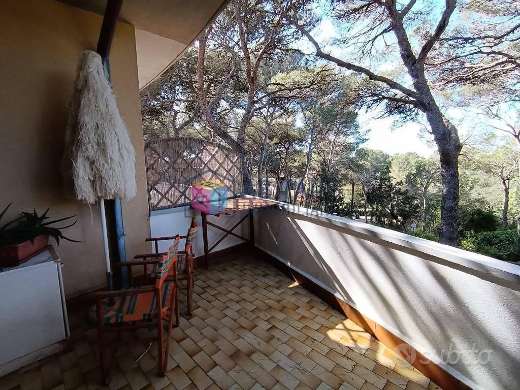 Appartamento – Rosignano Marittimo, Rosignano Solvay - Vista 3