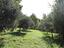 Immagine 24