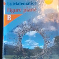 libro scuola media