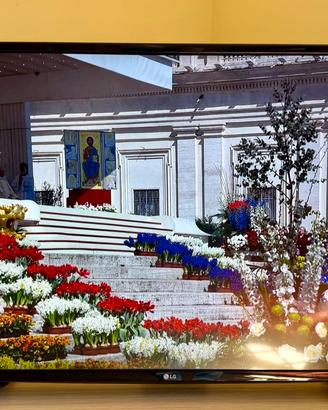 Tv Lg 43 pollici smart tv