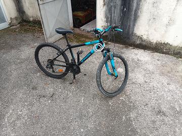 bicicletta bambino