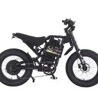 bicicletta elettrica