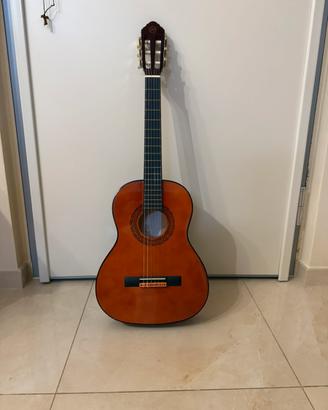 Chitarra acustica