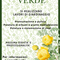 Giardiniere qualificato