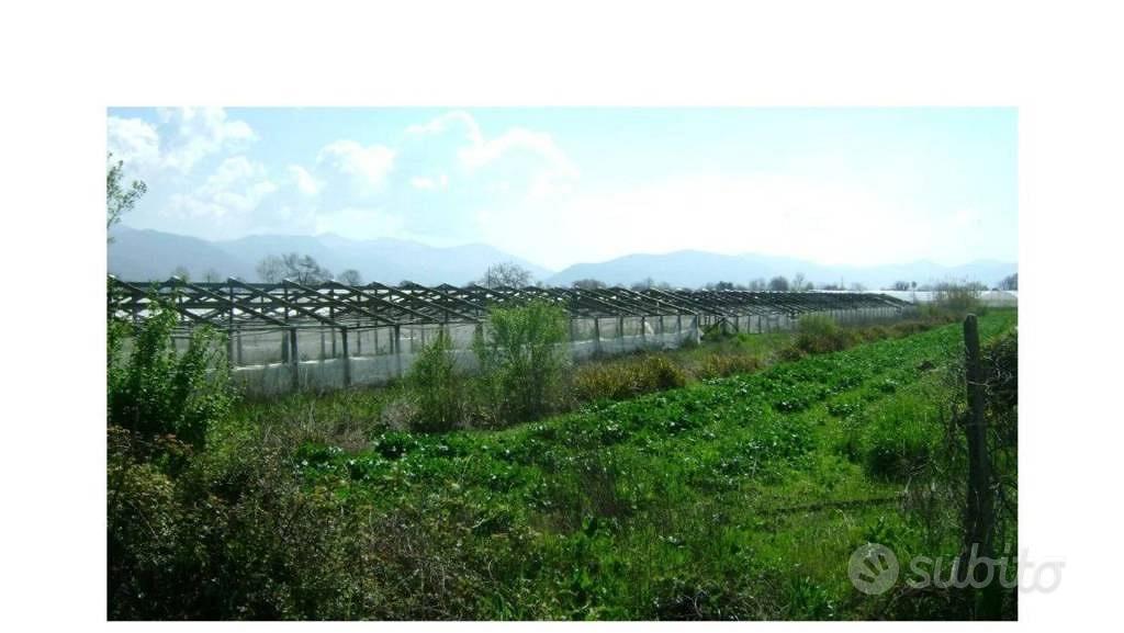 Immobile in asta di 5155 m² a Fondi - Vista 4