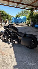 Harley Davidson 883 iron