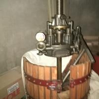 Torchio idraulico(50)+pigiadiraspatrice