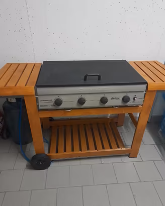 BARBECUE DA GIARDINO A GAS